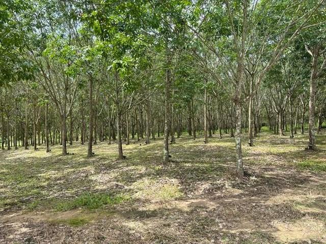 ��·��Թ �����º֧���