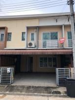 ��ǹ��������������