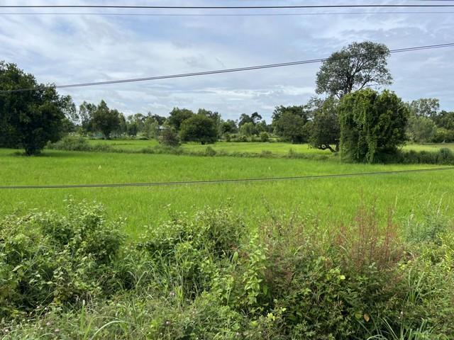 ��·��Թ ���ͧ�ѹ����������