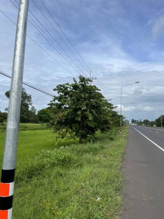 ��·��Թ ���ͧ�ѹ����������