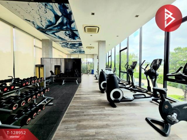 ��º�ҹ ���ͧ�ź��ժź���