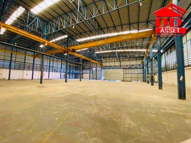 ����ç�ҹ �ҧ��Ҹ���طû�ҡ��