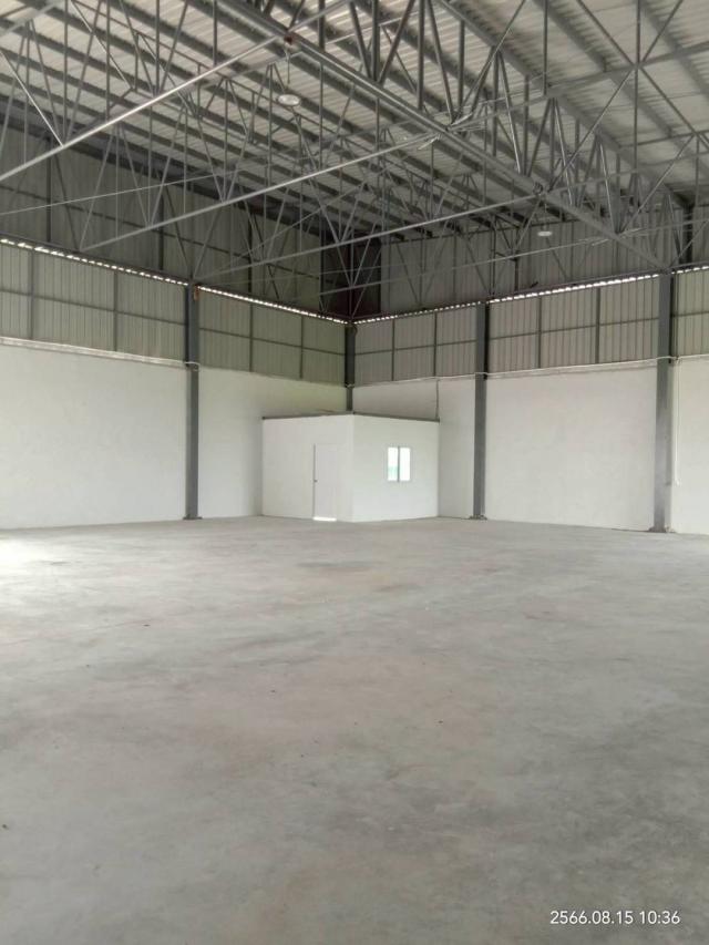 ⡴ѧ������ �ҧ��Ƿͧ�������