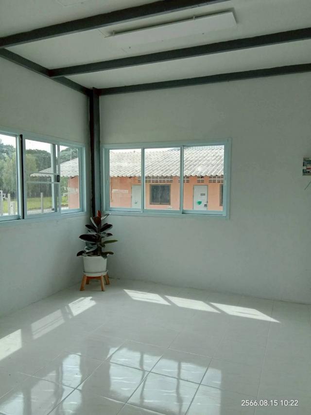 ⡴ѧ������ �ҧ��Ƿͧ�������