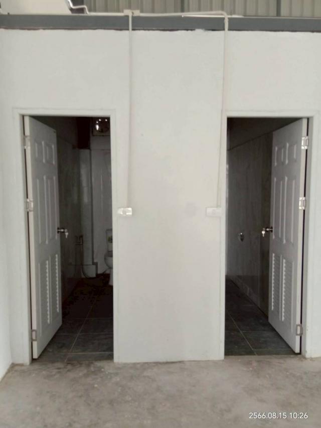 ⡴ѧ������ �ҧ��Ƿͧ�������