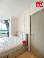 �͹� 53 ���ҧ���úҧ�л� ��ا෾