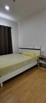 �͹���������