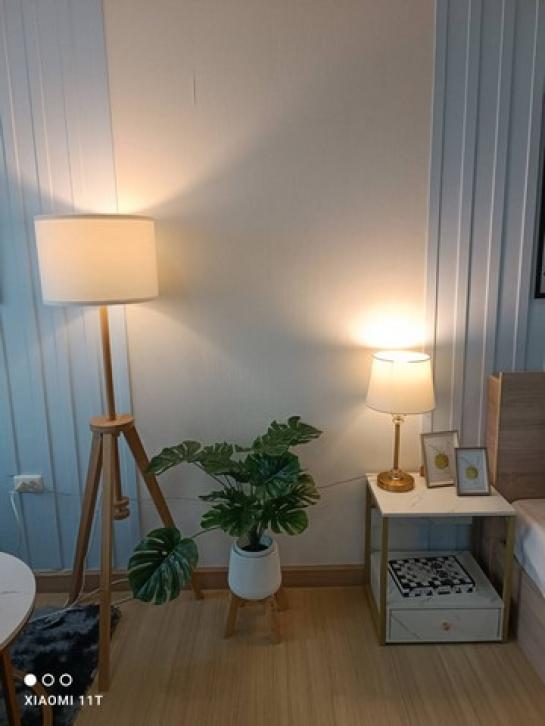 �͹������� ������ԭ��ا෾