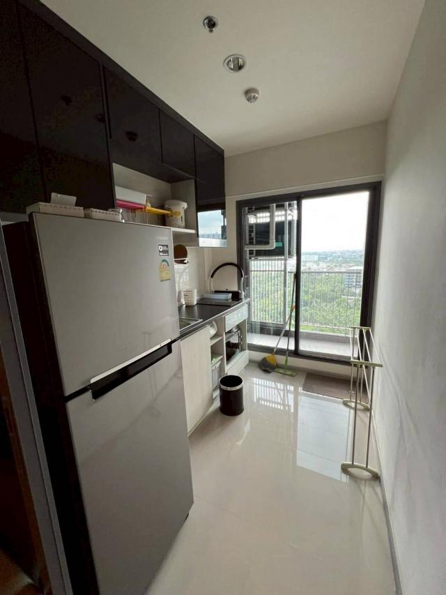 �͹�������ͧ��俿�� �Ѳ��