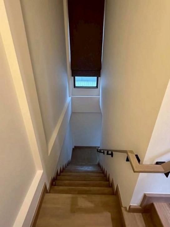 ��ҹ������ ������