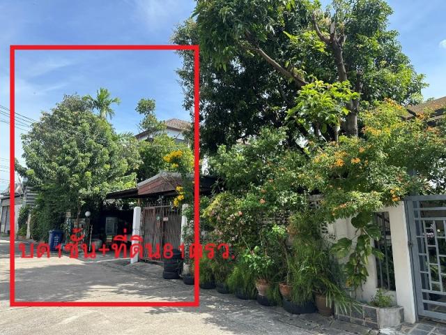 ���Թ �Ҵ�����