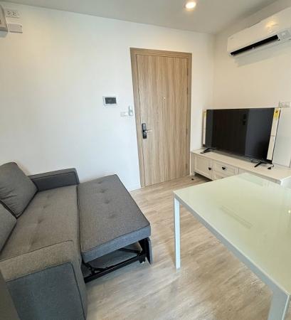 �͹����ͧ������� �������