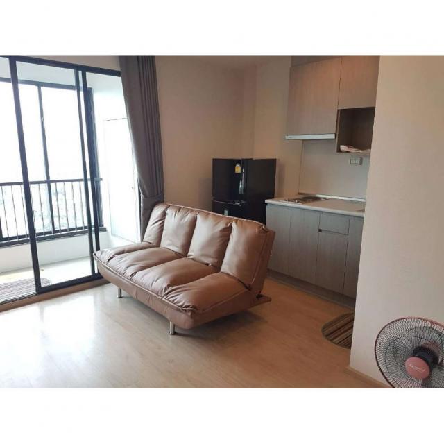 ��¤͹� ������