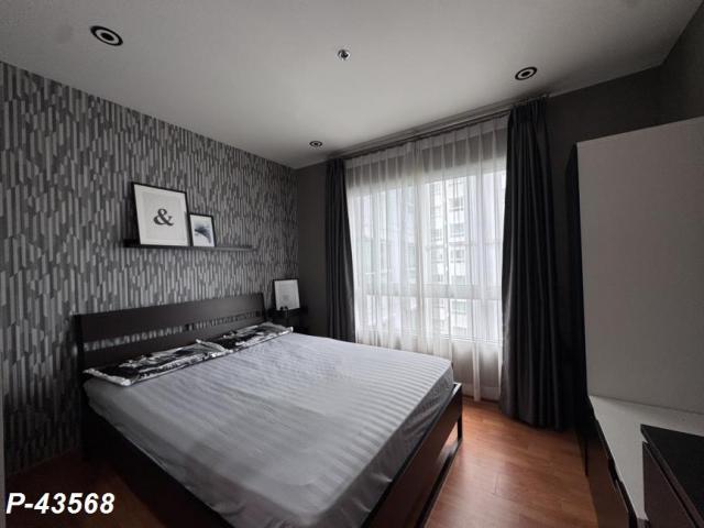 �͹� ������ԭ