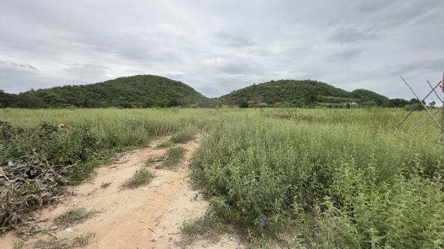 ��·��Թ ����Թ��ШǺ���բѹ��