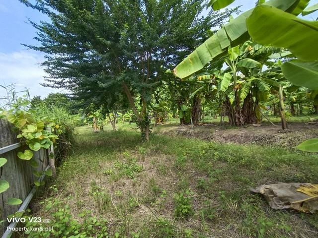 ���Թ �Դ�����