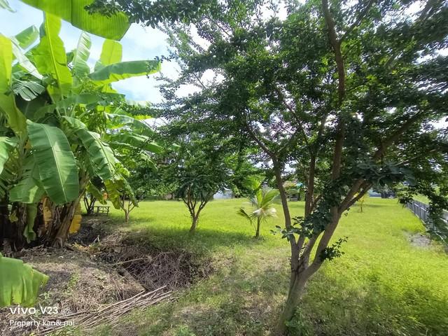 ��·��Թ ����Ѳ�ҡ�ا෾