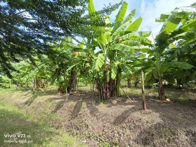 ��·��Թ ����Ѳ�ҡ�ا෾