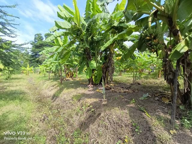 ��·��Թ ����Ѳ�ҡ�ا෾