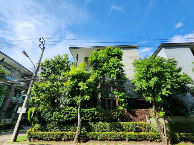 �������Ϳ��� �ѧ�ͧ��ҧ