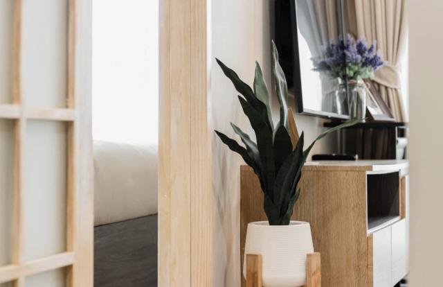 �͹������� ���¢�ҧ��ا෾