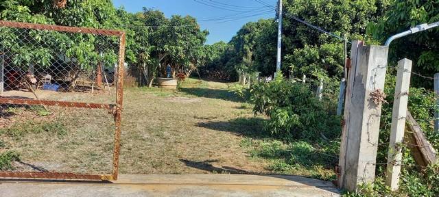 ที่ดิน ติดถนนคอนกรีต 3519 ตารางวา ที่ดิน ติดถนนคอนกรีต 3519 ตารางวา