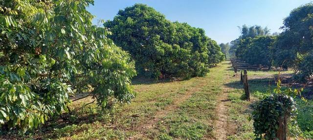 ��·��Թ ����Ӿٹ