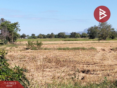 ��·��Թ ��������к���