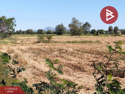 ��·��Թ ��������к���