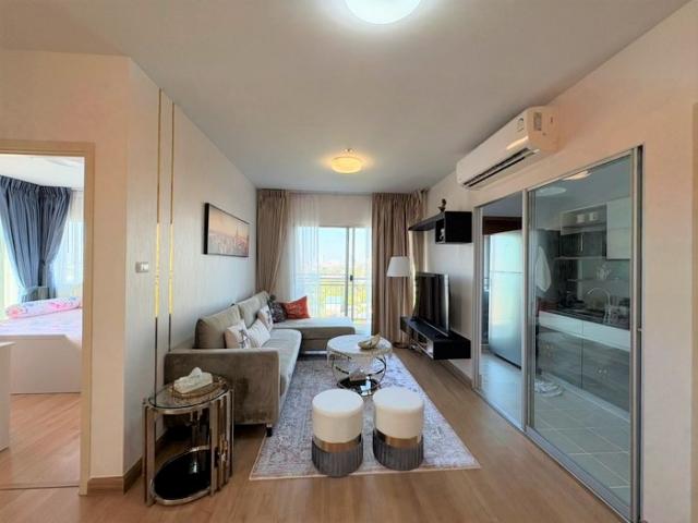 �͹� �������