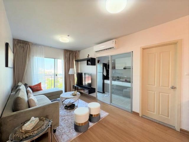 �͹������� ���ͧ������չ������