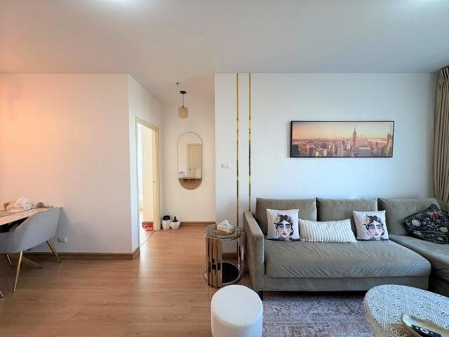 �͹������� ���ͧ������չ������