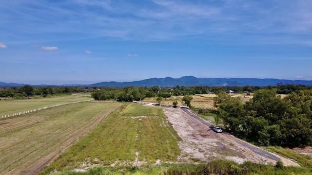 ��·��Թ ��ҹ�ҹ�ù�¡