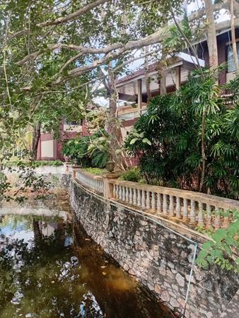 ����ç�ҹ ���ͧ���ͧ���ͧ