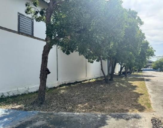 �ç�ҹ������ �ҧ�����طû�ҡ��