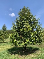 ���Թ�Դ����͹��յ