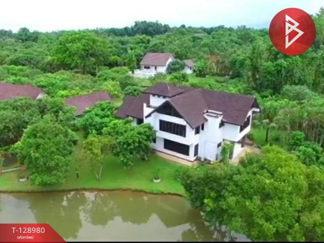 ��º�ҹ ���ͧ��§�����§���