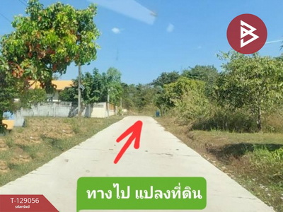 ��·��Թ �� �شøҹ�