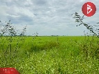 ���Թ���ǹ ��Ҩչ����