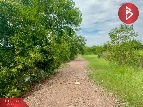 ���Թ�Դ�����ѡ��§ ��Ҩչ����