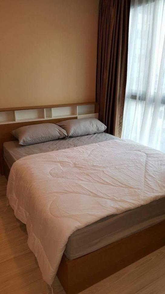 ��¤͹� ���źҧ��