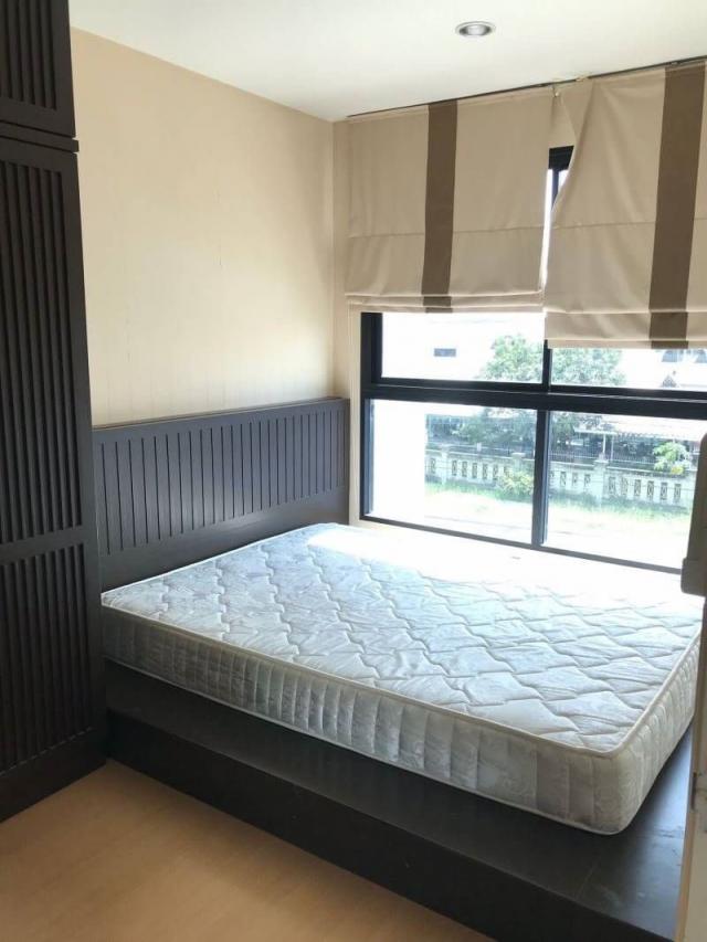 ��¤͹� �Թᴧ