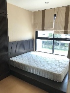 �͹�����ǹ