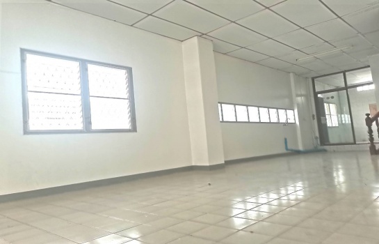 �Ҥ�þҳԪ�������� �֧������ا෾