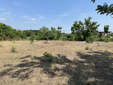 ��·��Թ �ط����Ź�û��