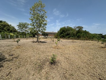 ��·��Թ �ط����Ź�û��