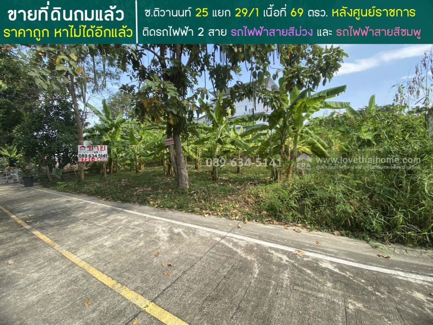 ���Թ �������