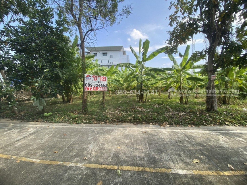 ��·��Թ ���ͧ������չ������