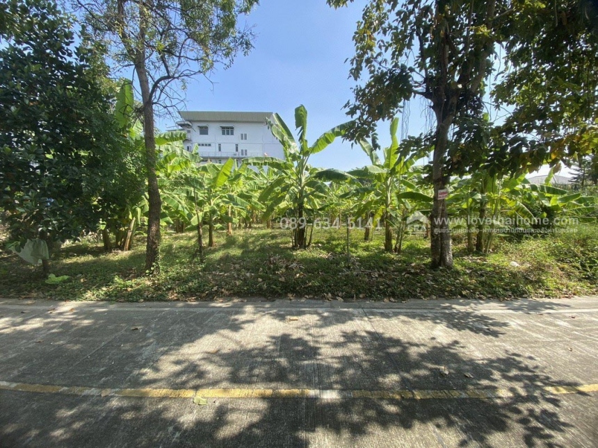 ��·��Թ ���ͧ������չ������