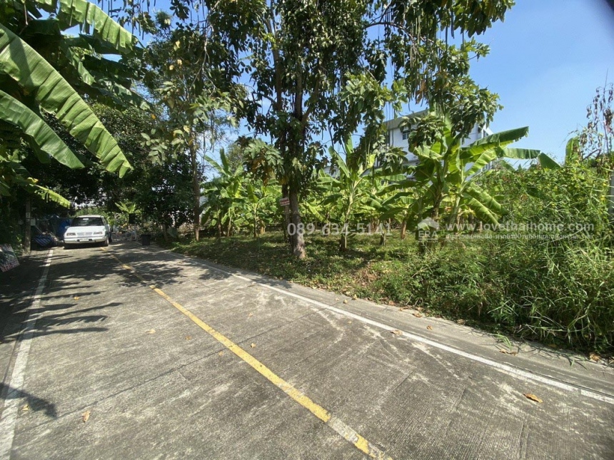 ��·��Թ ���ͧ������չ������